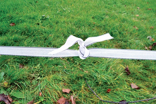 Horses suddenly escaping? It might be time to change your electric fence tape!